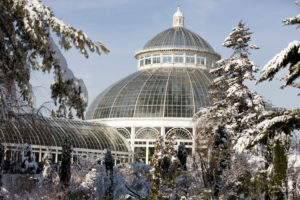 The Haupt Conservatory at NYBG in winter