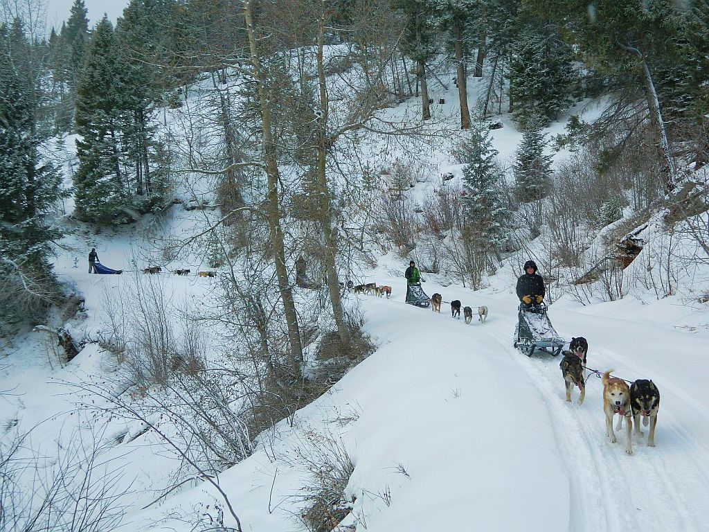 dog sledding, Triple Creek Ranch, Montana