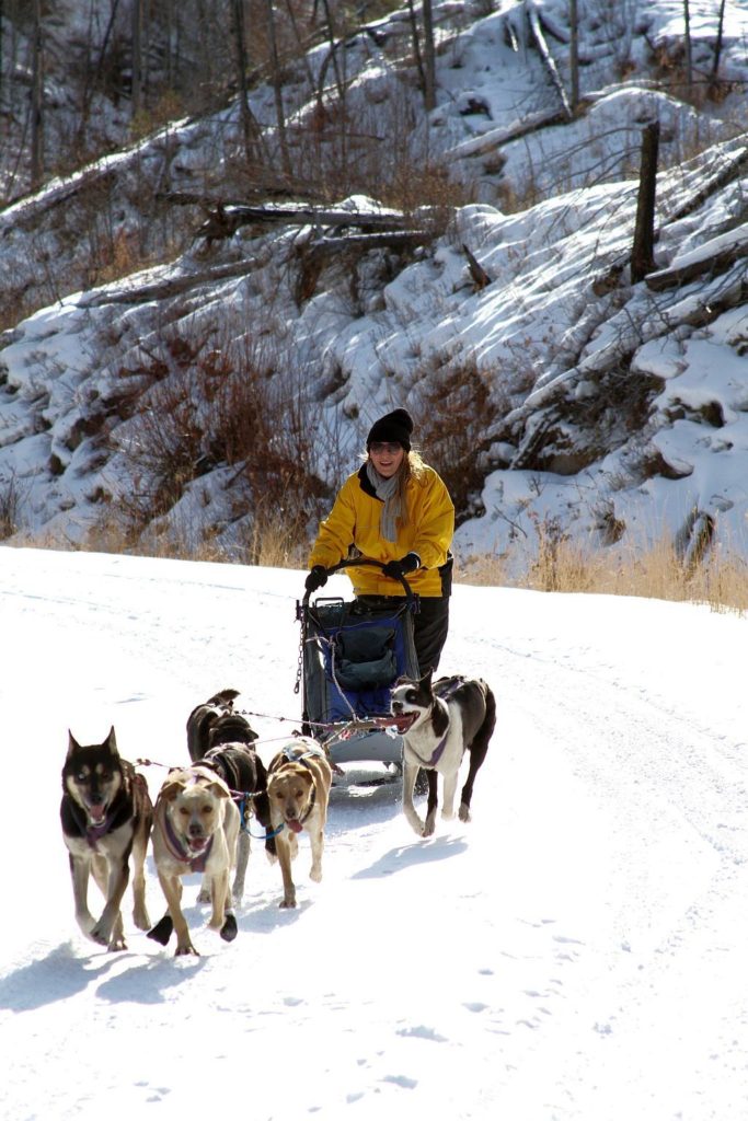 Dog sledding at Triple Creek Ranch