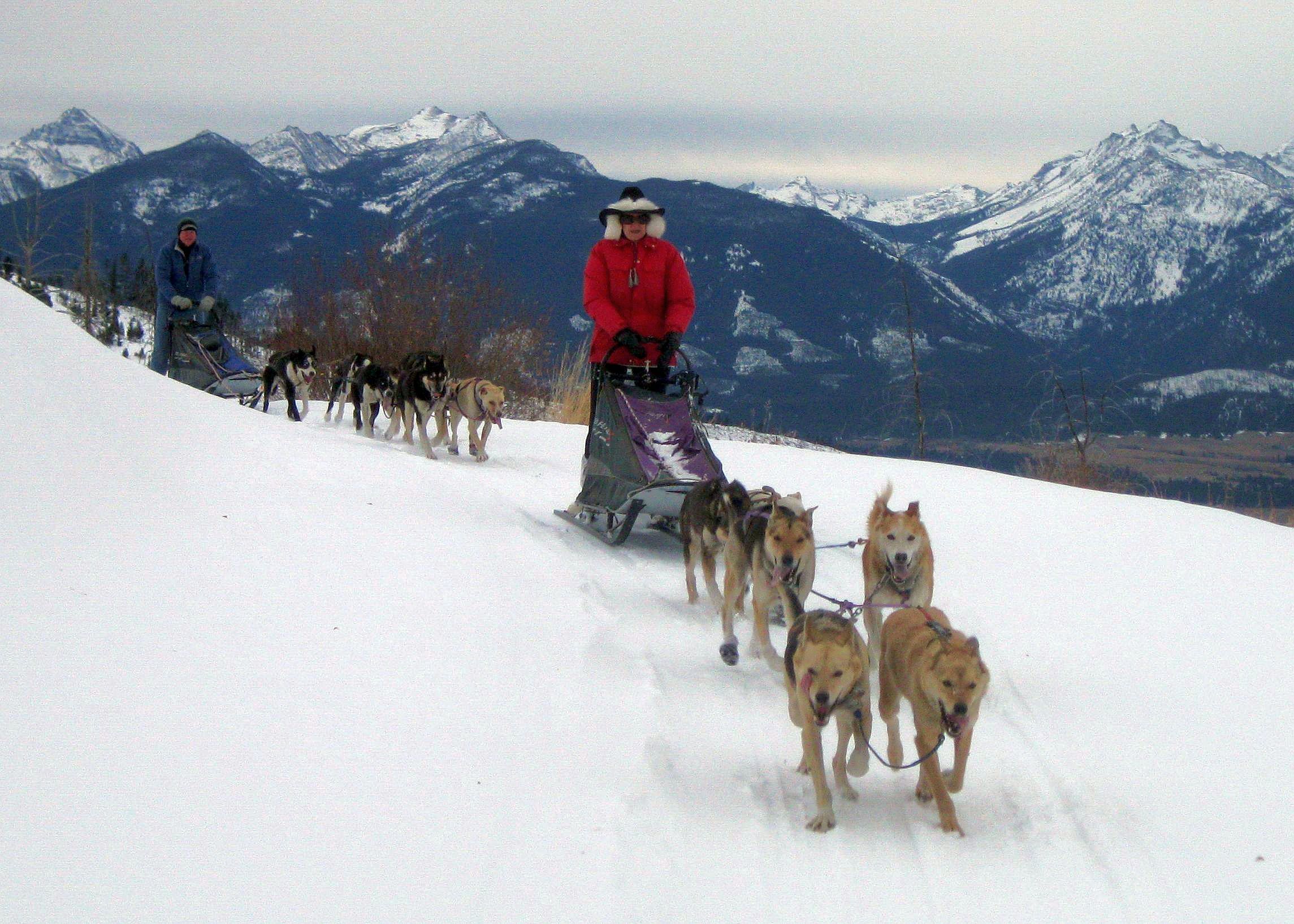 Dog sledding, Triple Creek Ranch, Montanta