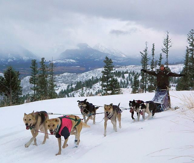 Dog sledding, Triple Creek Ranch, Montanta