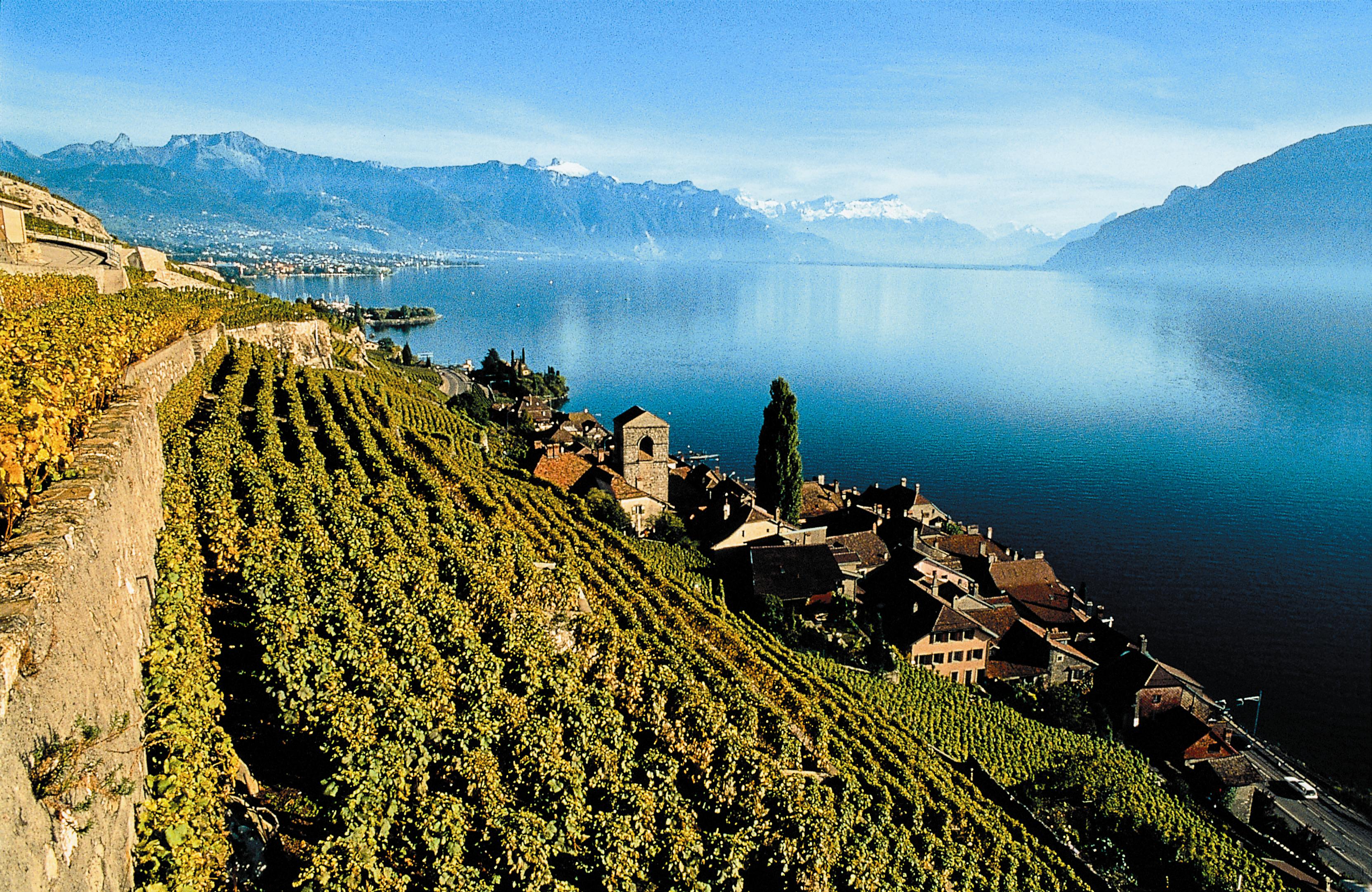 Switzerlands Lavaux Region