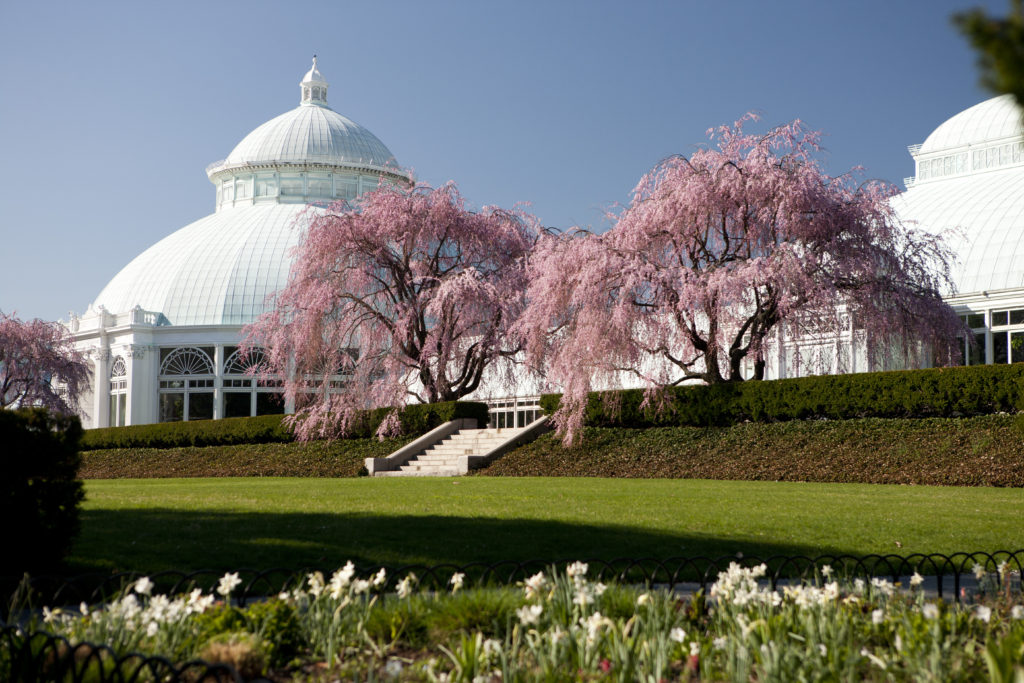 Haupt Conservatory at NYBG