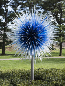 Chihuly interactive