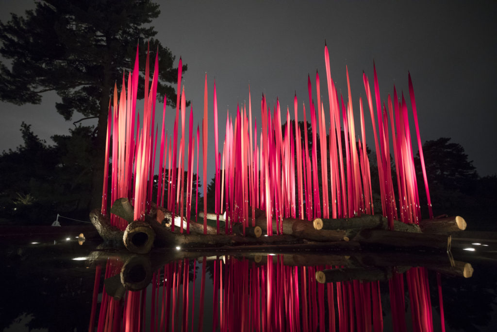 Dale Chihuly, "Red Reeds on Logs," 2016, installed at The New York Botanical Garden for the exhibition, CHIHULY. (Photo By Ben Hider)