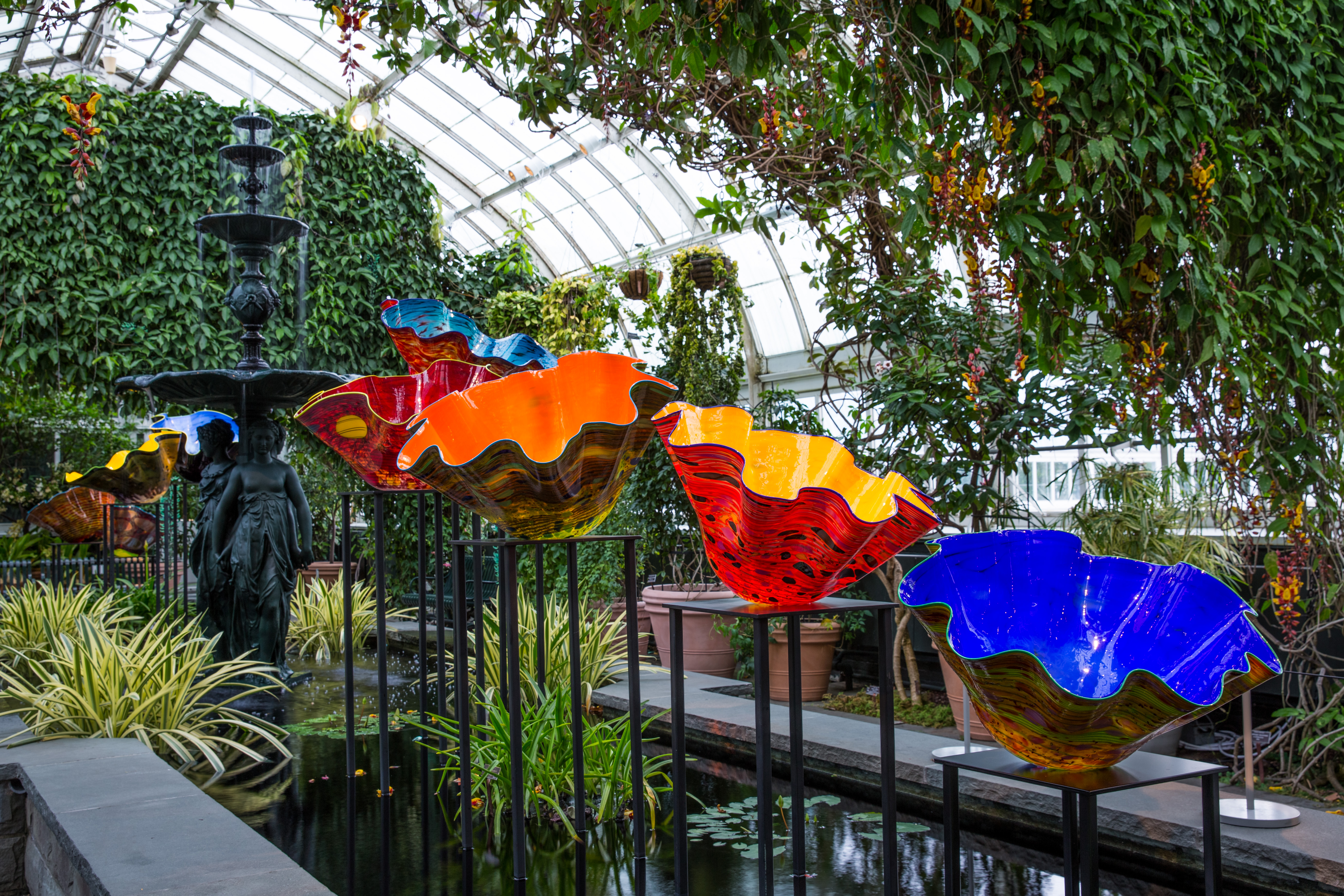 NYBG CHIHULY 09 Macchia Forest 2017