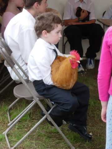 Common Ground Fair in Unity, Maine