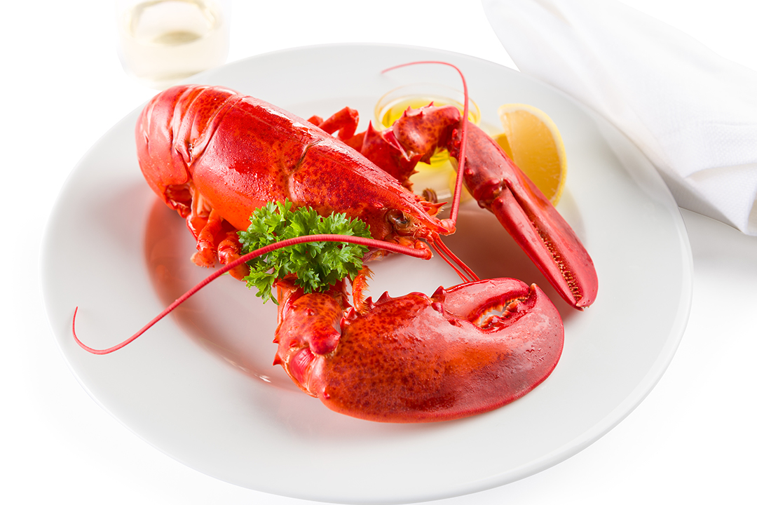 buy maine lobsters online LRG