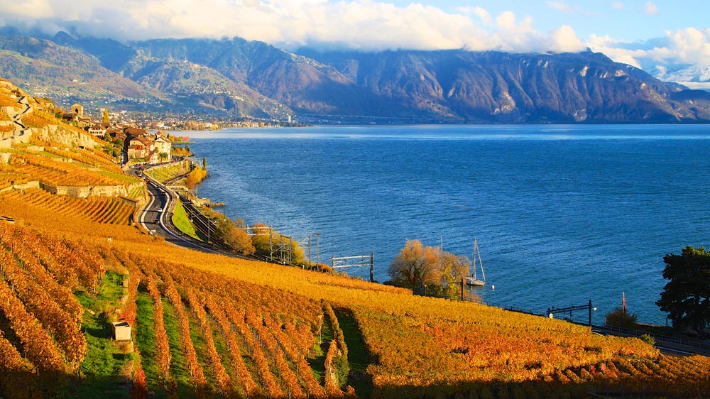 Winetasting Lake Geneva 20
