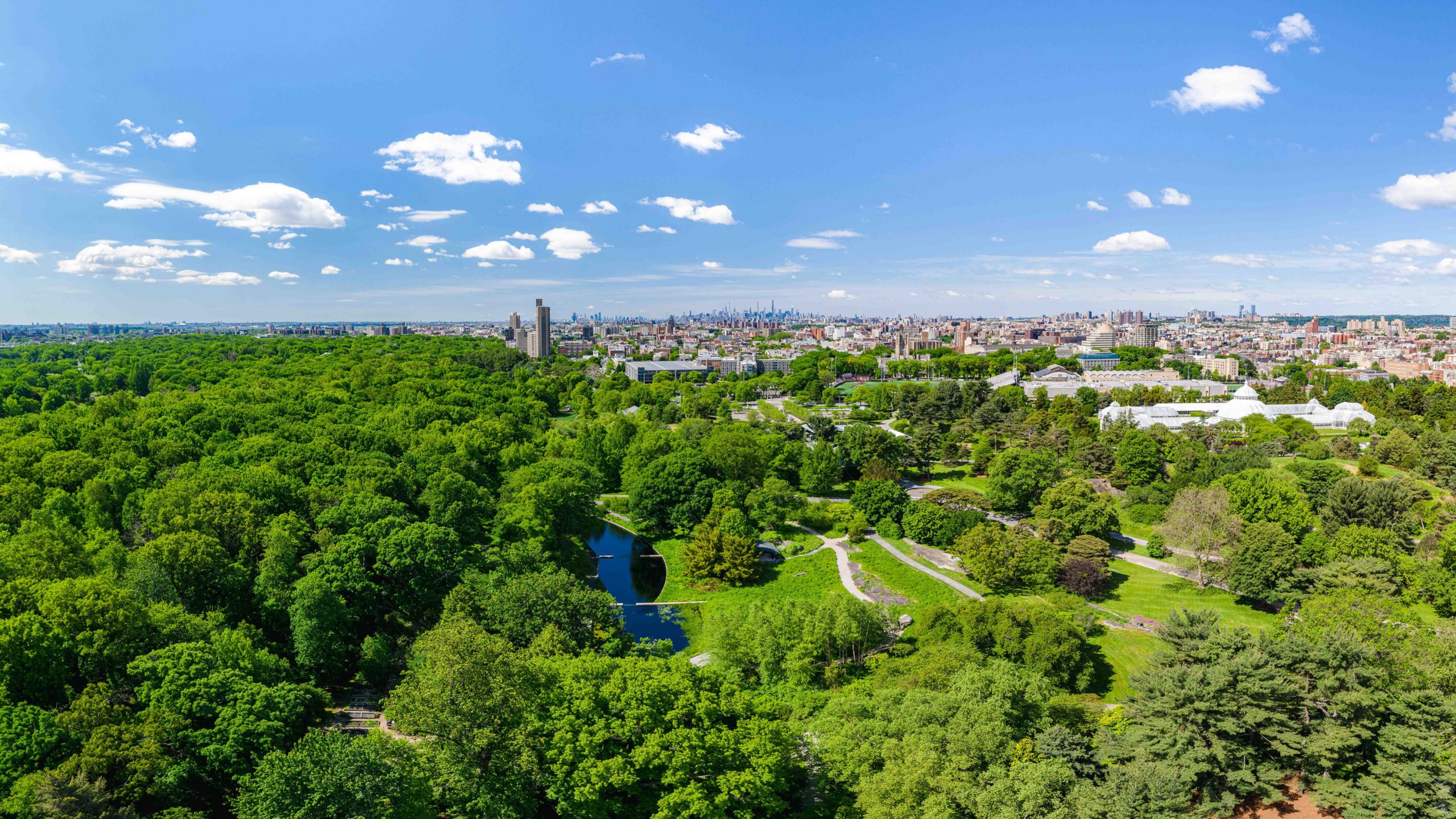 NYBG Aerial MCO PANO0007 16.9 scaled 1