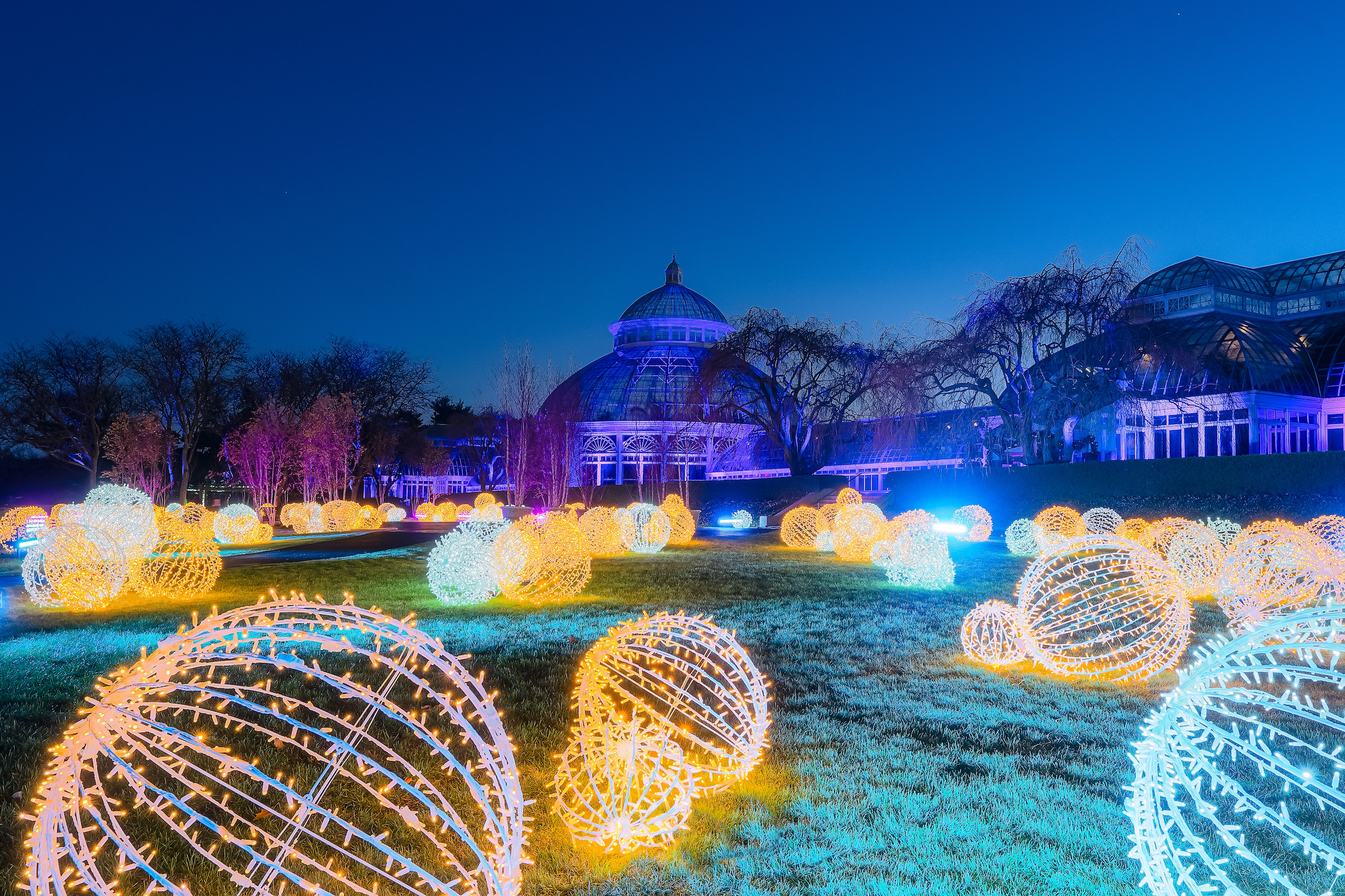 NYBG GLOW MCO A9 09649 Photo by Marlon CoThe New York Botanical Garden