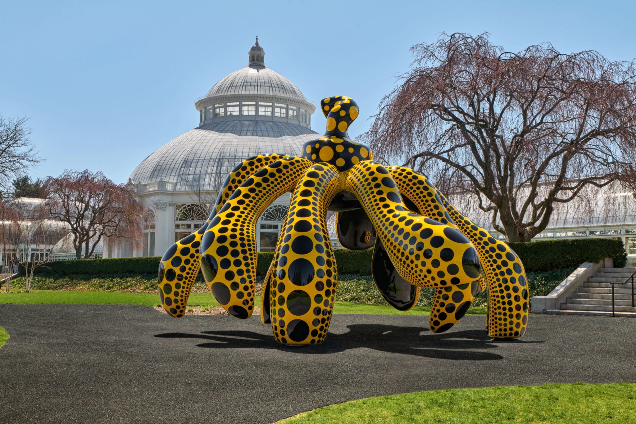 Yayoi Kusama New York 2024 Kiah Selene