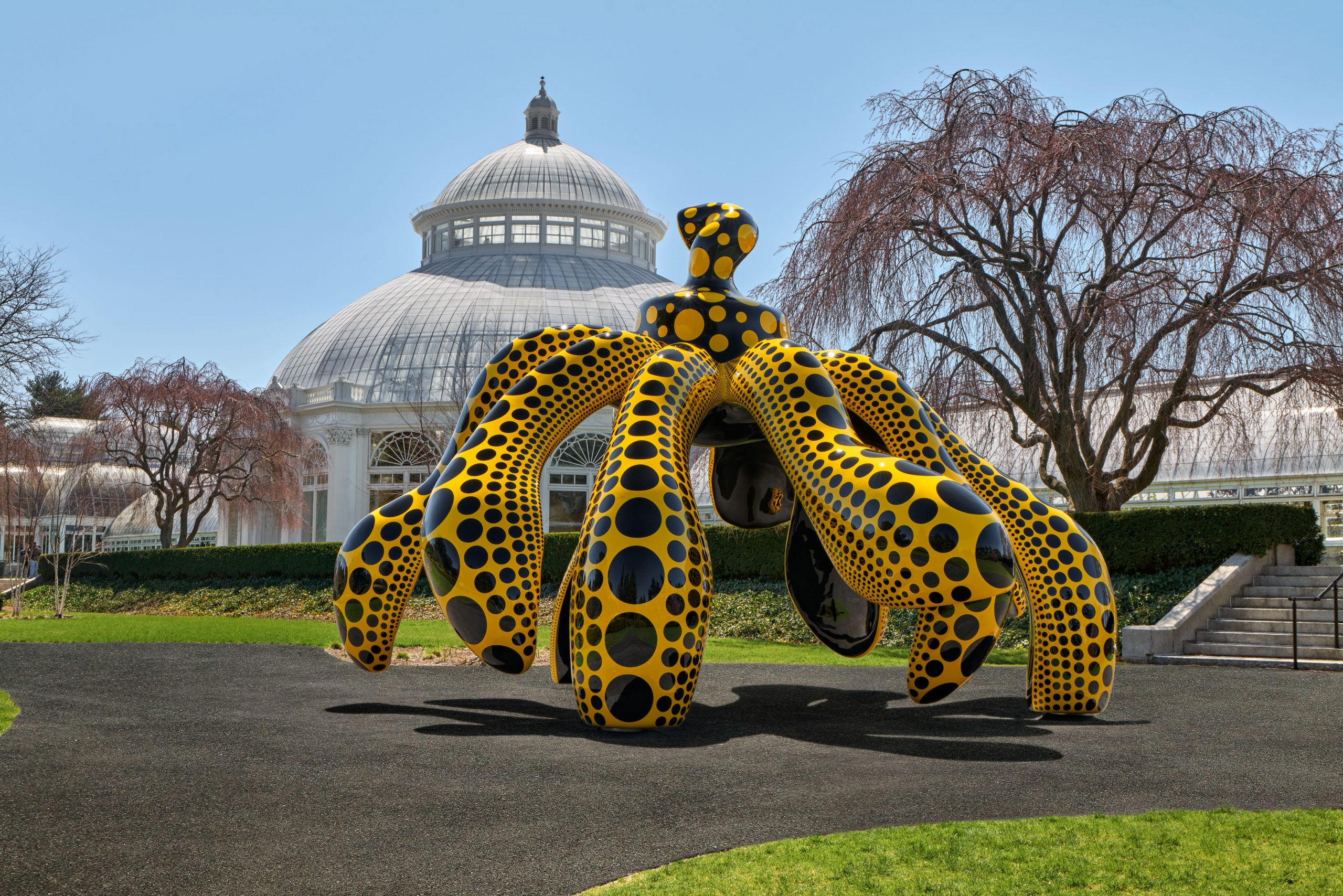 NYBG Kusama 01 Dancing Pumpkin scaled 1