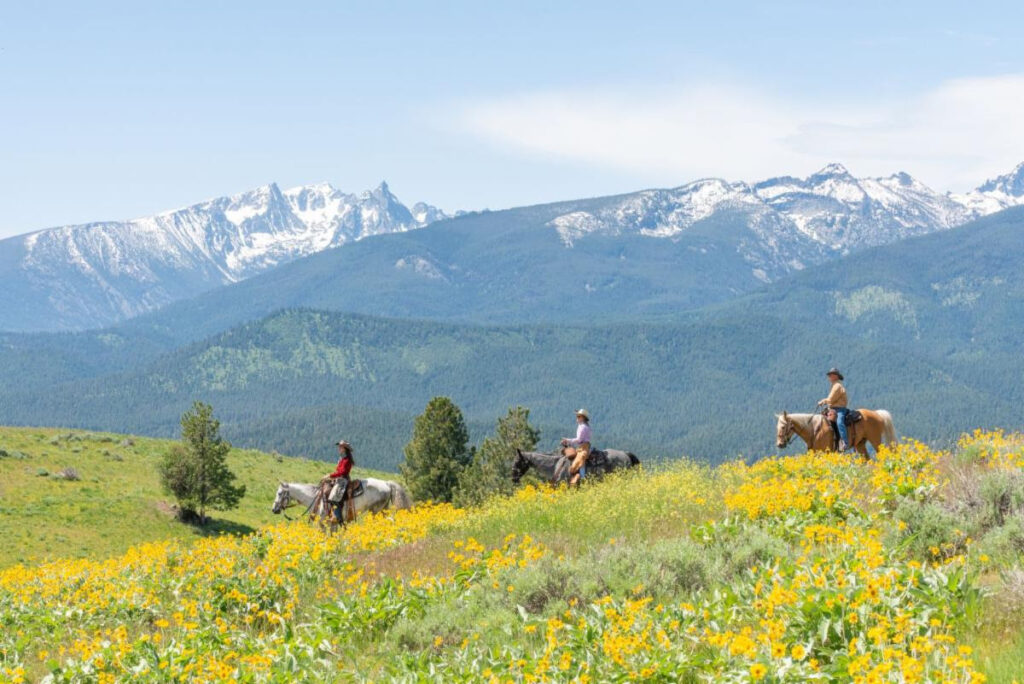 Horseback riders in Montana.