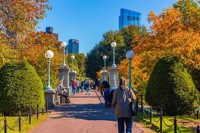 Public Garden in Fall, Jessica Scott