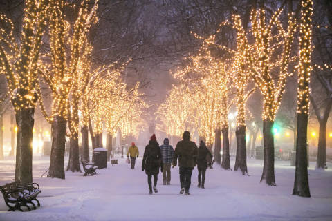 Commonwealth Avenue in the Snow. Photo Kyle Klein/ Meet Boston.