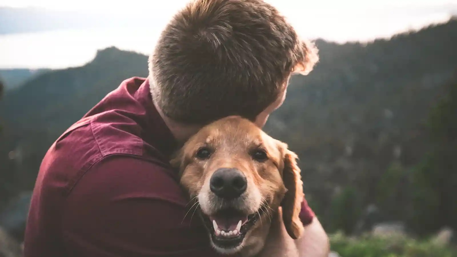 eric ward isg37ai2a s unsplash eric ward isg37ai2a s unsplash