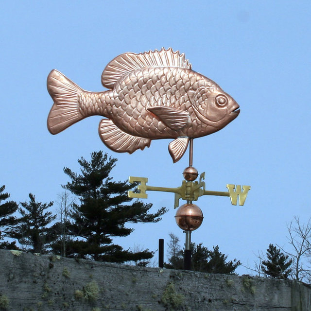 Sunfish Sunfish